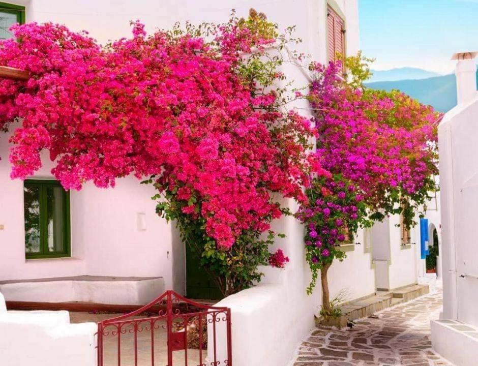 Nafpaktos Apartment And Studios In Port Екстериор снимка